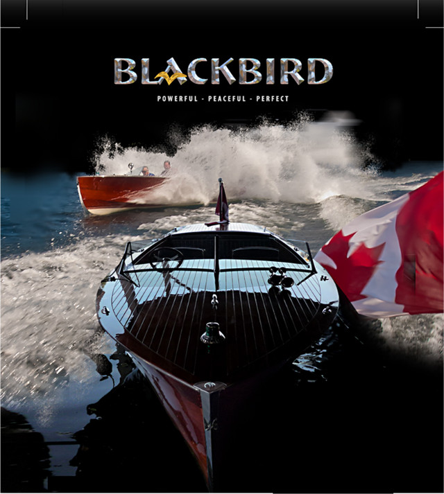2008 BLACKBIRD CRUSADER in Powerboats & Motorboats in Muskoka