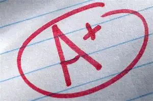 Writing and Proofreading Service