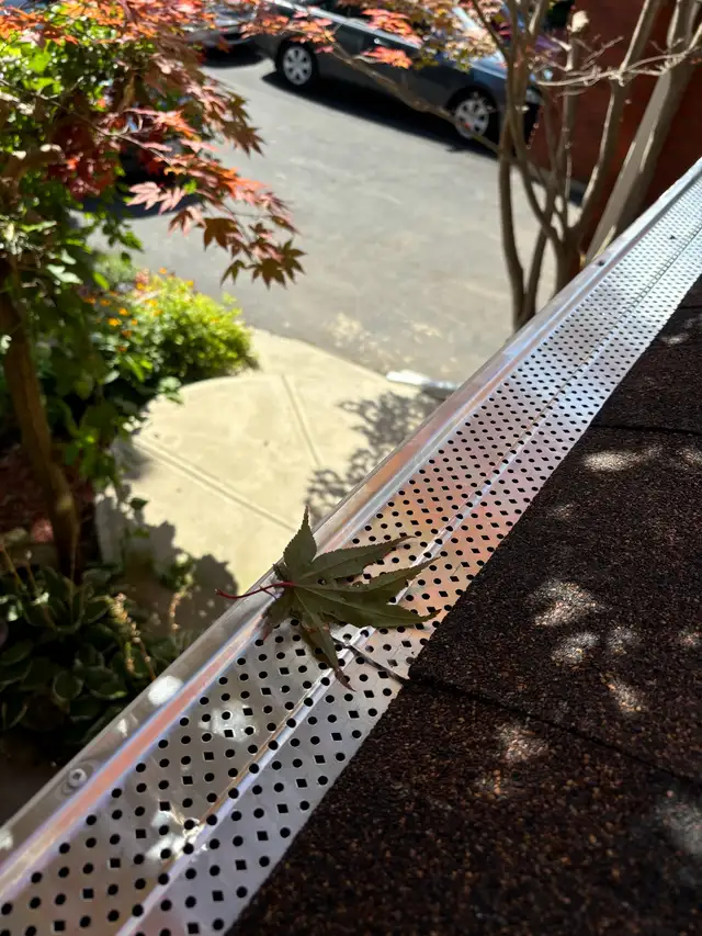 Eavesdrop Gutter Roof Repair Replacement & Leak Fix Affordable 62864359995010122