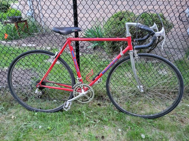 Bianchi Road Bike 12 speed - 21 inch in Road in Saint John