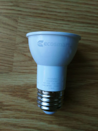 Ecosmart PAR16 Daylight LED Bulb