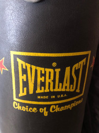 Everlast heavy hanging punching bag