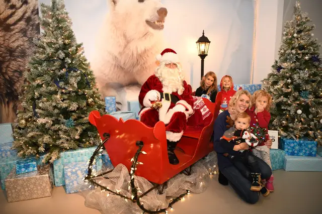 Hire Santa Claus In Toronto63804706946051120