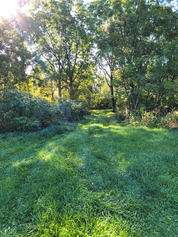 Vacant Recreational Land for Sale Norwich Ontario Land for Sale