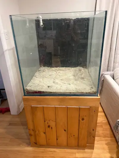 custom aquarium, View more