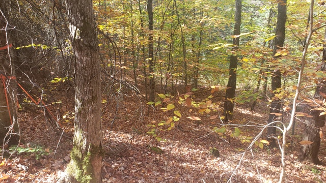 Land Lot for Sale — photo 2