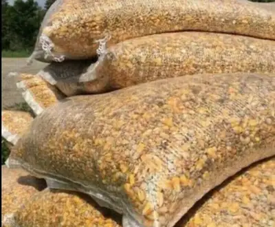 Pickering pick up $45 per bag Approx 50lbs sacs Located in Pickering PIGEON FEED DUCK FEED SEED SEED...