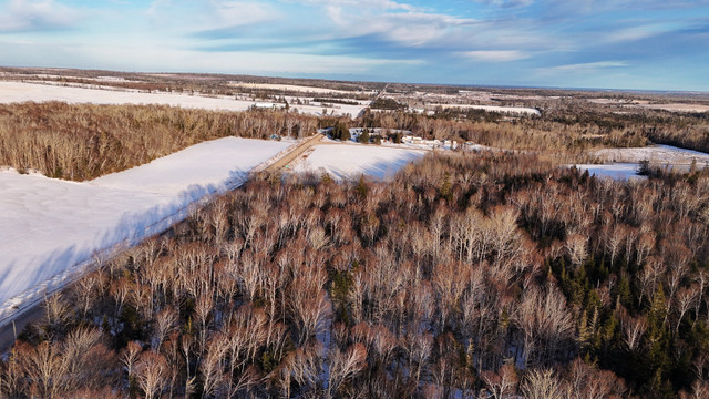 Land For Sale 1.5 Acre Caledonia, PEI in Land for Sale in Charlottetown - Image 4