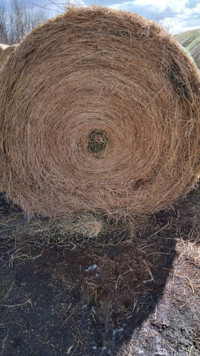 2nd cut hay for sale 
