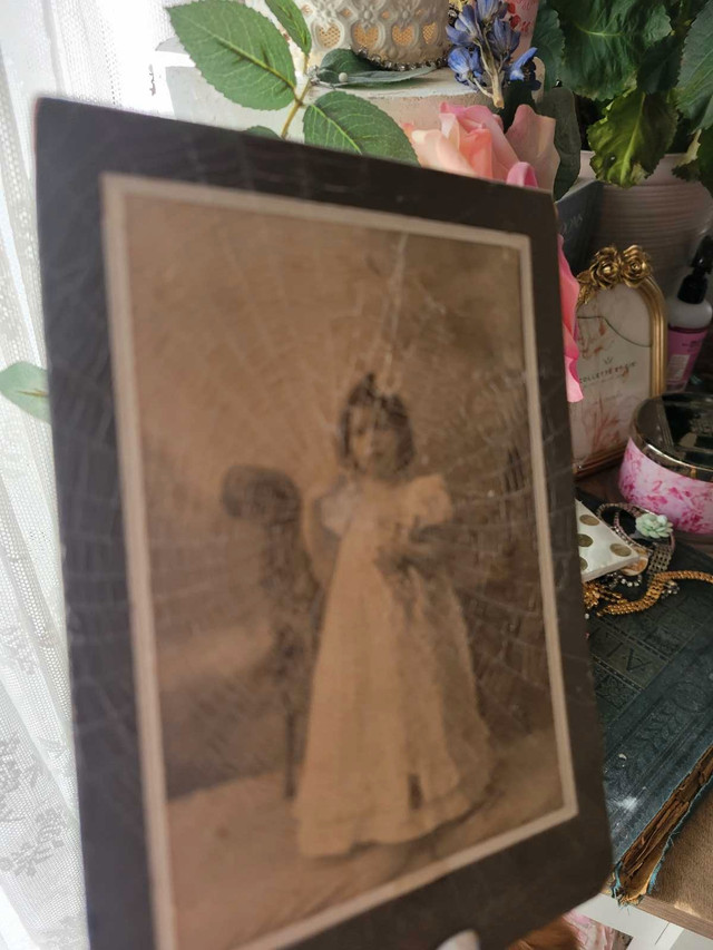 Victorian CDV photo with spider web in Arts & Collectibles in Kitchener / Waterloo - Image 3