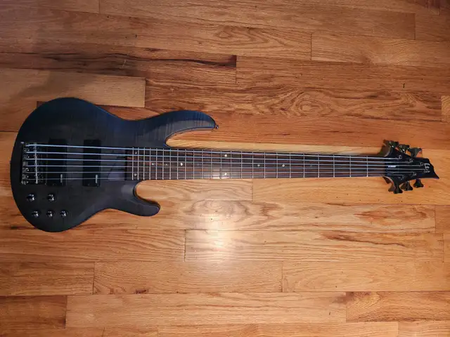 ESP LTD B-206SM 6 String Electric Bass! W/Gigbag! FREE SHIPPING! in Guitars in Calgary - Image 3