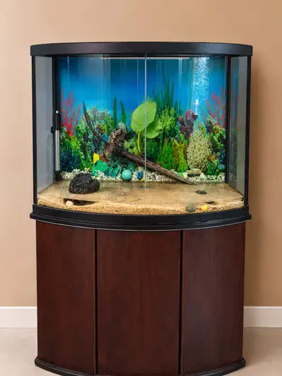 Fish tank and Eheim 2217, View more