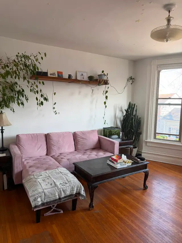 Large bright One Bedroom, Sydenham Ward, June 1