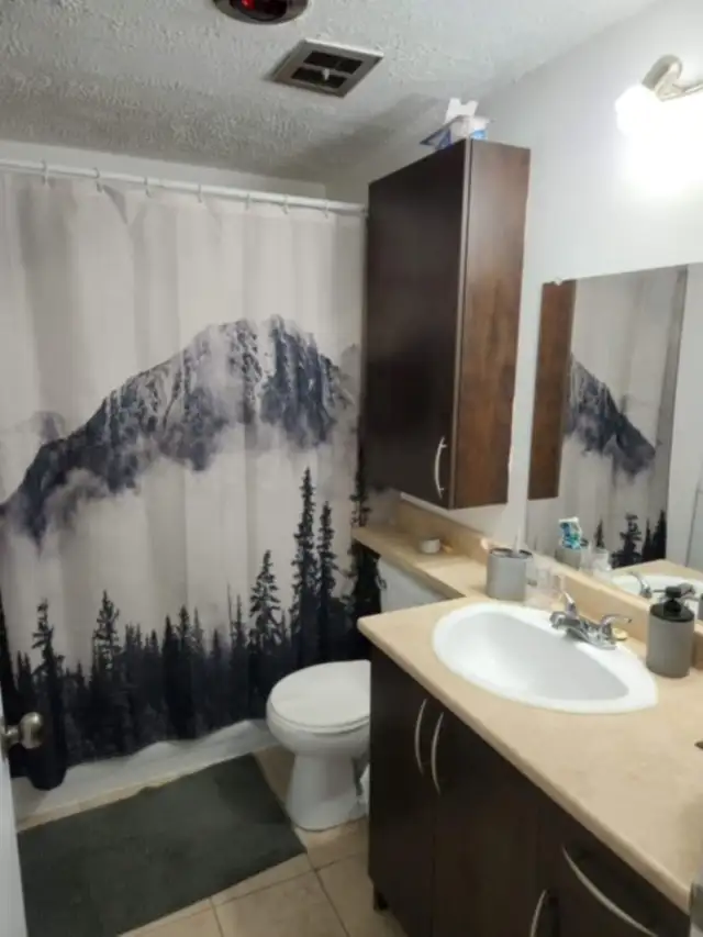 Loge 51/2 41/2 31/2 Bromont remise et stationnement privé inclus in Long Term Rentals in Granby - Image 4