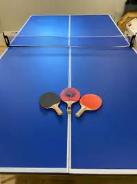 Badminton Table