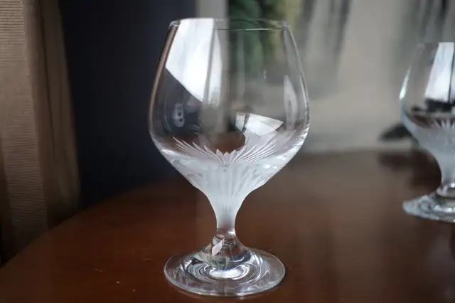 Schott Zwiesel Cut and Frosted Crystal Snifter Glasses62863272670978121