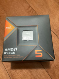 AMD Ryzen 5 8600G 6-Core Desktop Processor