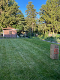 Grass Cutting And Weed Removal 