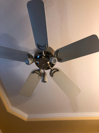 Ceiling fan light, white and silver, home, room, living room