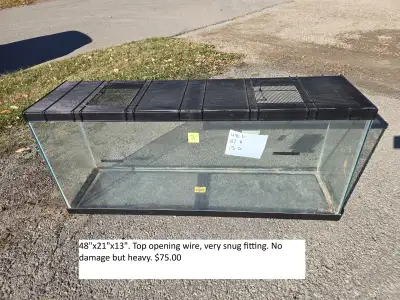 DV Reptile Rescue Semi-Annual Sale!, View more