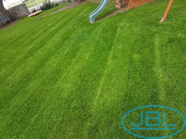 Lawn Service - Weed Control - Tree Trimming - 529-5554 in Lawn, Tree Maintenance & Eavestrough in Medicine Hat - Image 9