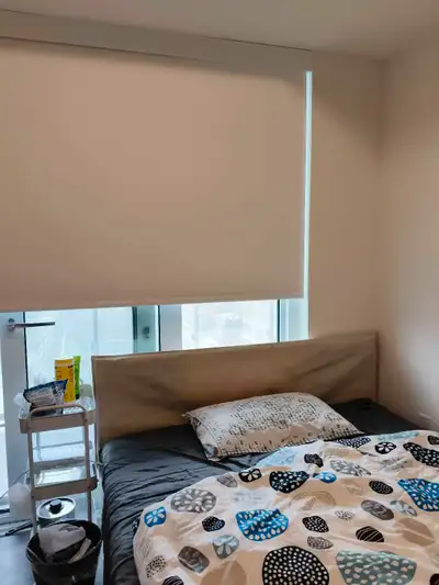 Master Bedroom with Private Washroom [All utilities included]