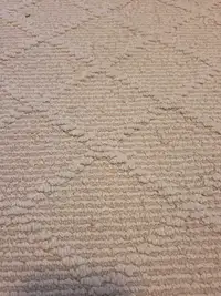 Beautiful Carpet Runner - Pending