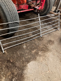 steel gate for animal