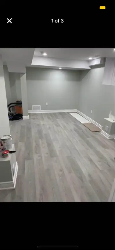 Bachelor basement- no parking