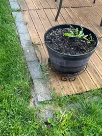 Plant pot , used like new .