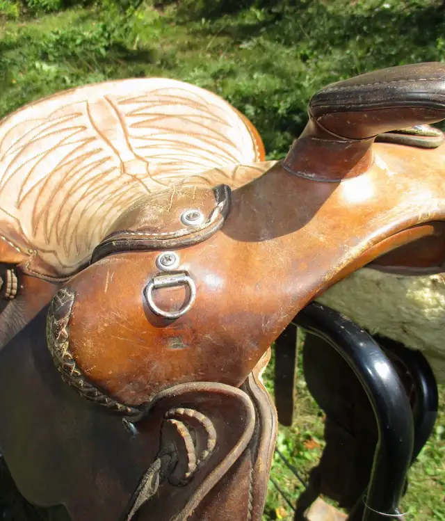 15" Bona Allen saddle, made in USA in Equestrian & Livestock Accessories in Dawson Creek - Image 9