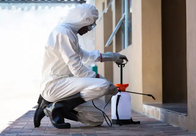 Pest control, Roaches, Mice, Raccoon, Pest contorl  647363751362863235326593121