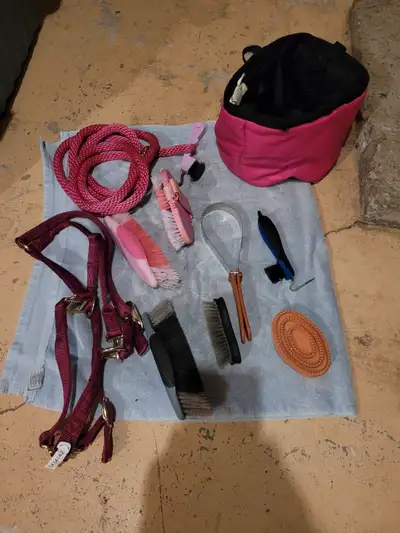 Horse grooming kit and assessories, View more