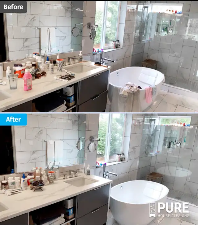 Cleaning lady -Flat Rates607293957378549763
