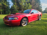 2002 Mustang Gt