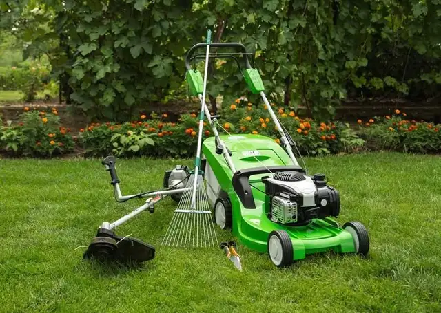 Lawn & Yard Cleanup Call or Text 289-886-2220 in Durham Region
