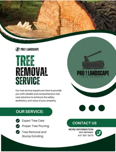 Fall Tree Removal!Tree Removal/ landscaping  in Kitchener, View more