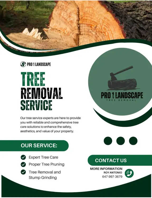 Affordable Tree Removal and landscaping services in Kitchener in Lawn, Tree Maintenance & Eavestrough in Kitchener / Waterloo - Image 2