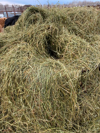 Hay for sale. 5x6 net wrap bales