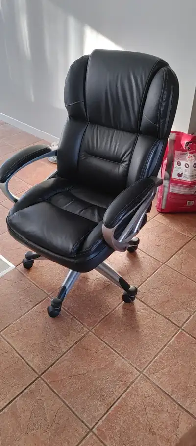 Chaise du bureau, View more