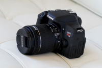 Canon Rebel T6i 24MP DSLR Camera Bundle
