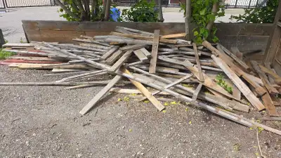 Fence boards, some 2 x 8s and pallet wood on the parking pad of 1226 21 Ave NW Free Will probably no...