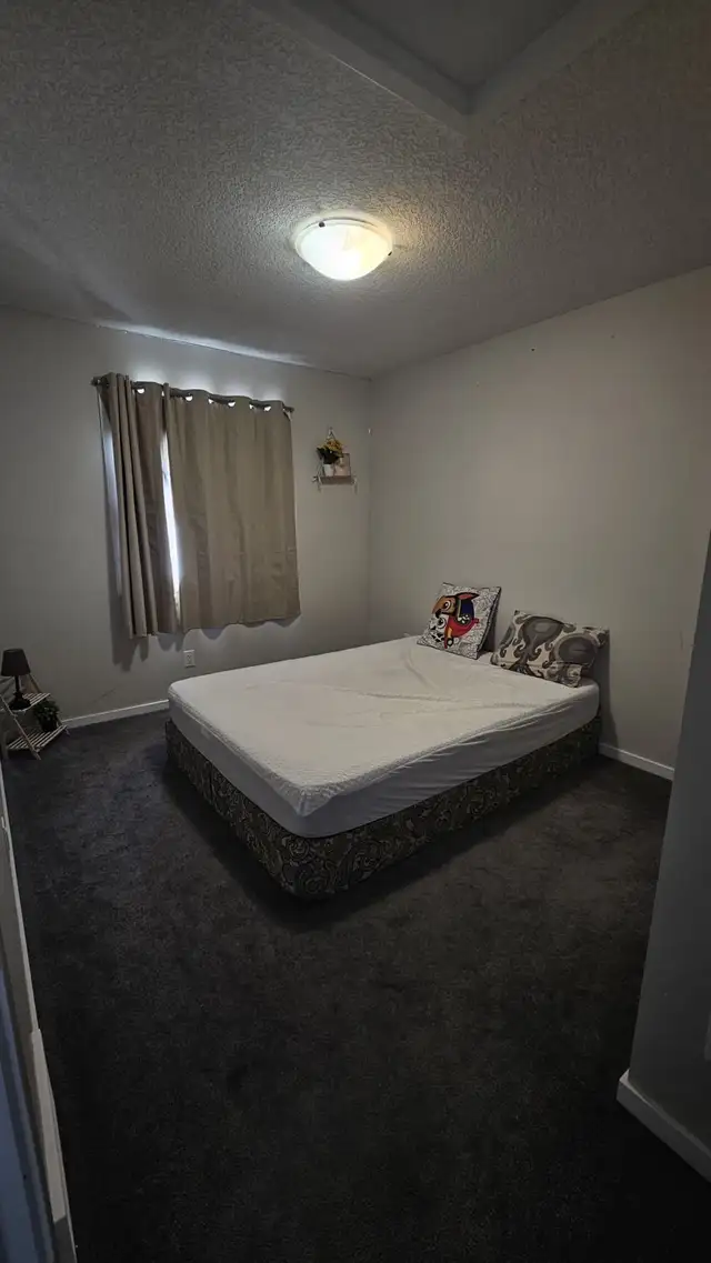Private room for rent