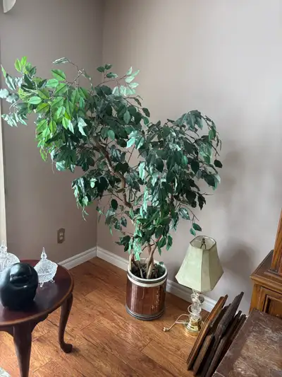 Faux Plant, View more