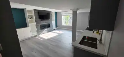 One Bedroom and one Washroom - Walkout Basement
