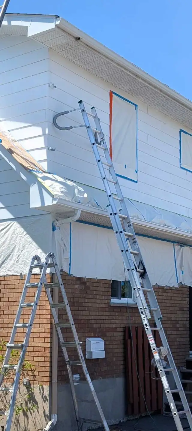 Professional Painter502201370427402248