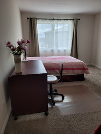 Master bedroom for rent ( female)