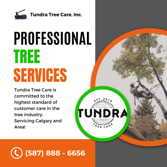Professional Arborist - Tree Removal and Pruning in Lawn, Tree Maintenance & Eavestrough in Calgary - Image 2