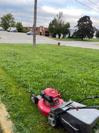 Lawncare grass cutting service