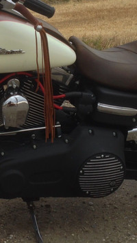 Classic Brown Leather Harley Davidson Lever Fringe Tassels